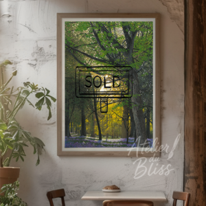 Little Hagley | Original Gouache Painting